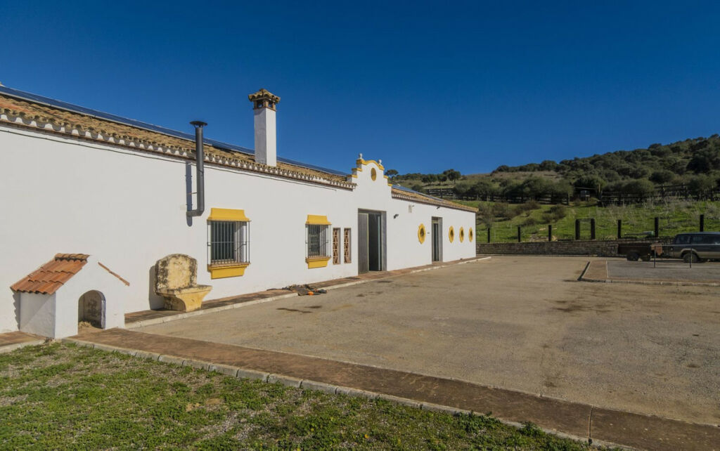 Finca - Cortijo Jimena de la Frontera Cádiz - image 18