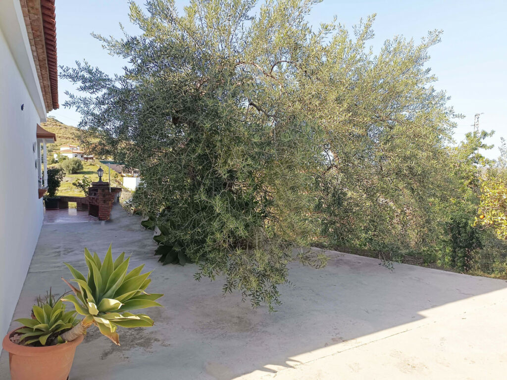 Detached Villa Monda Málaga - image 21