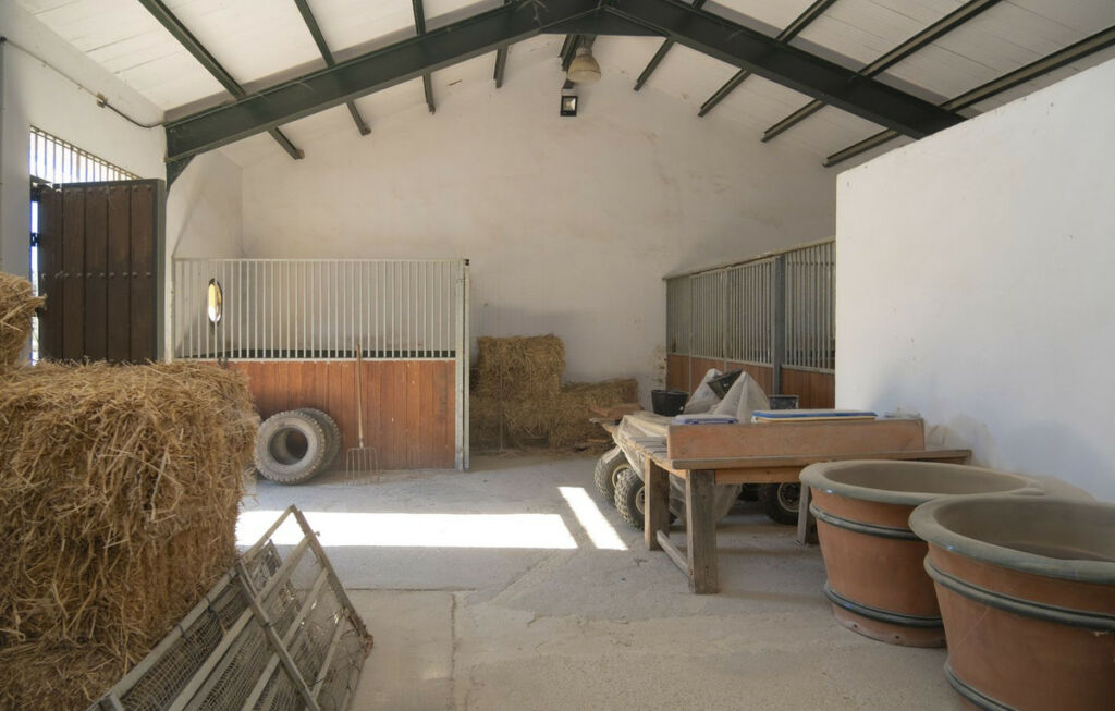 Finca - Cortijo Jimena de la Frontera Cádiz - image 19