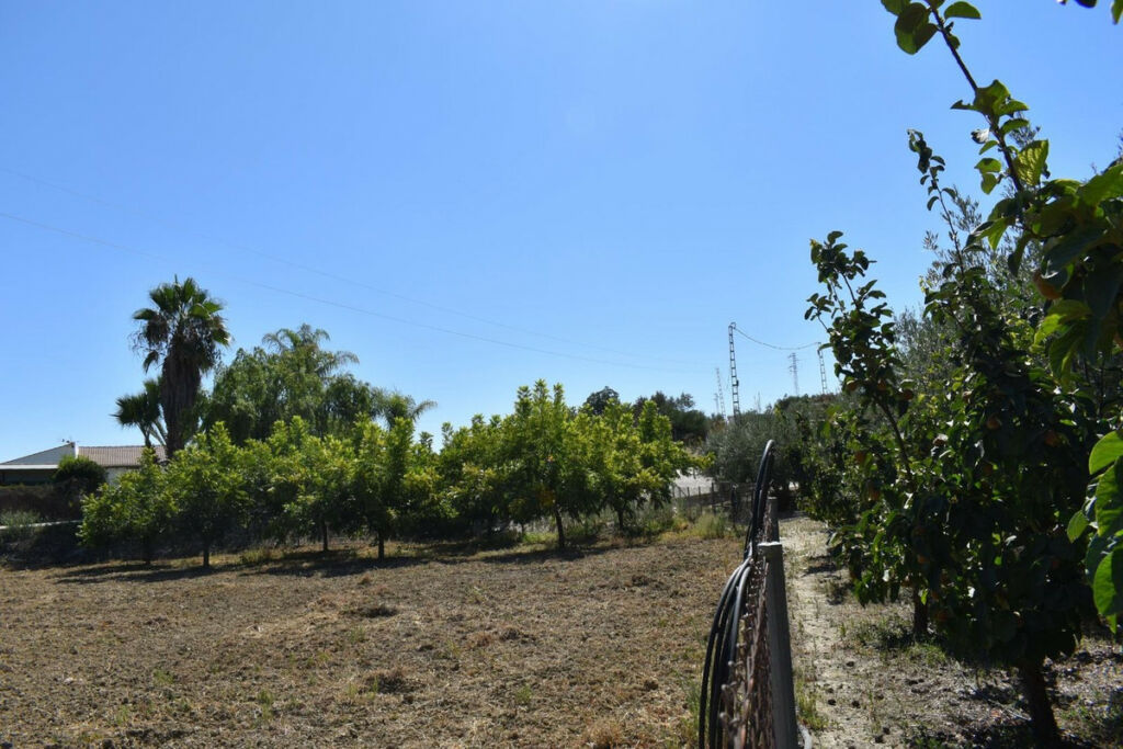 Finca - Cortijo Alhaurín el Grande Málaga - image 20