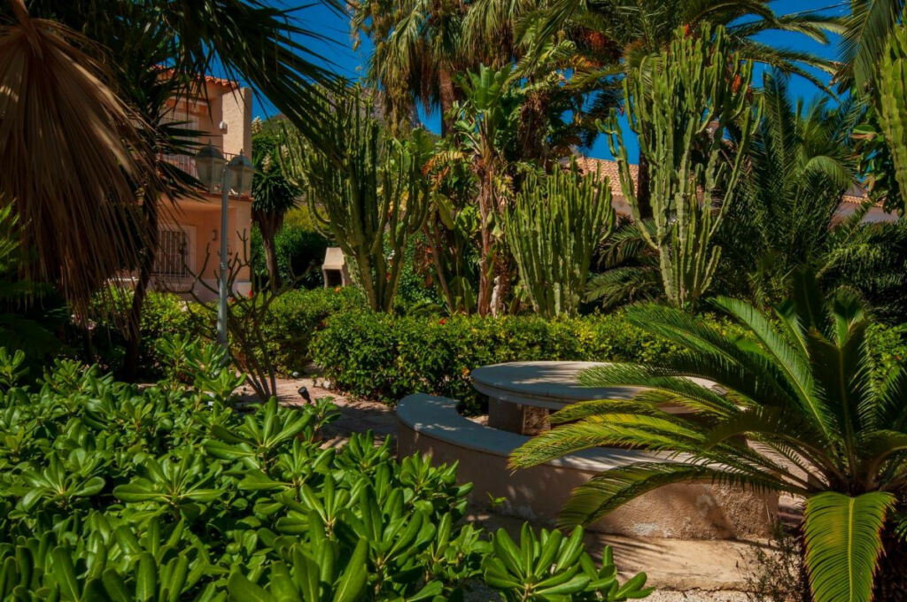 Middle Floor Apartment Calpe Alicante - image 19