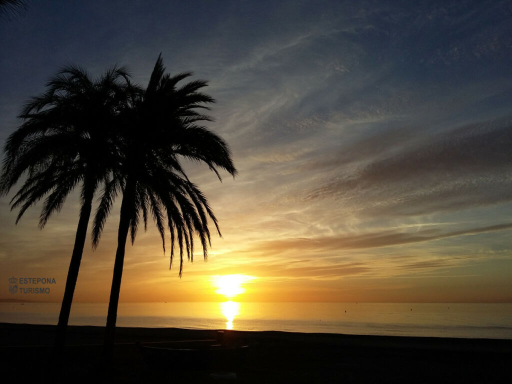 Ground Floor Apartment Estepona Málaga - image 19