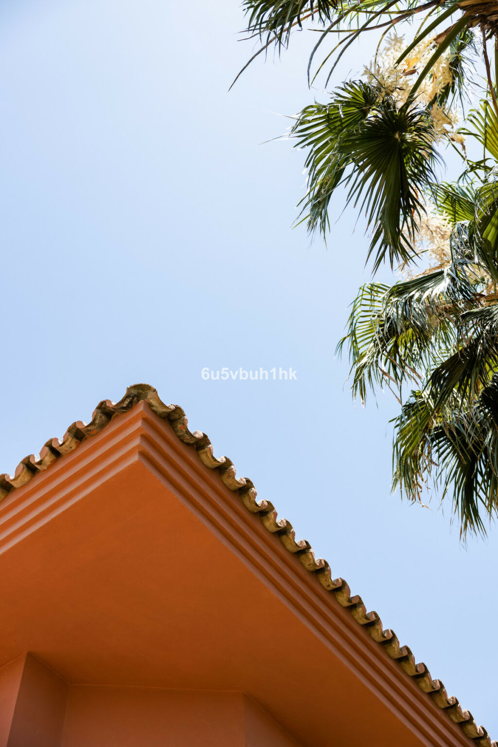 Detached Villa Málaga Málaga - image 19