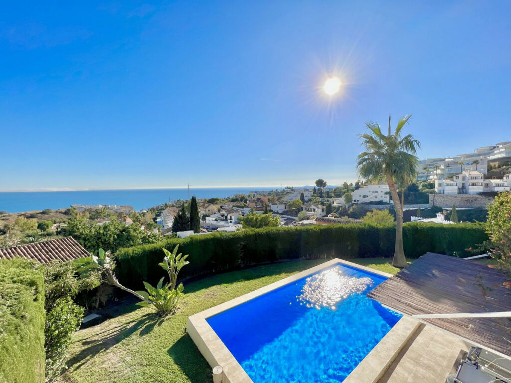 Detached Villa Benalmadena Málaga - image 2