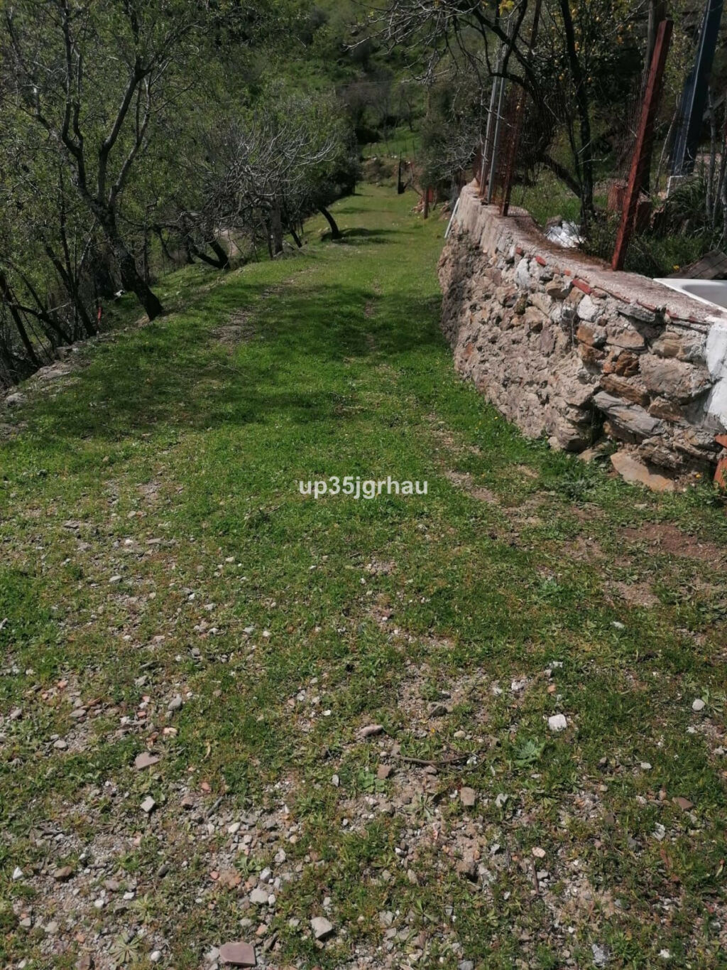 Finca - Cortijo Benalauría Málaga - image 2