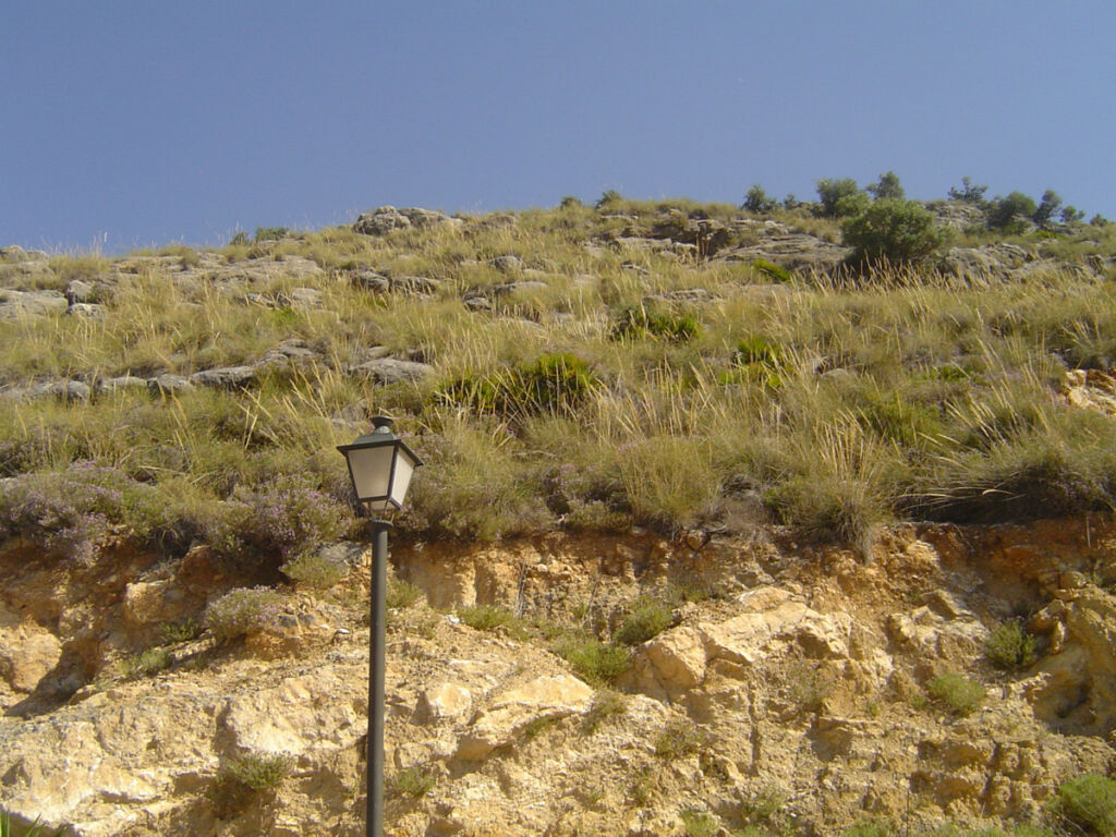 Land Coín Málaga - image 2