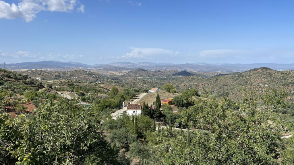 Finca - Cortijo Monda Málaga - image 2