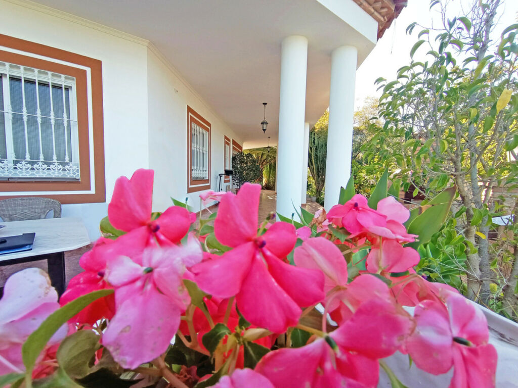 Detached Villa Monda Málaga - image 4