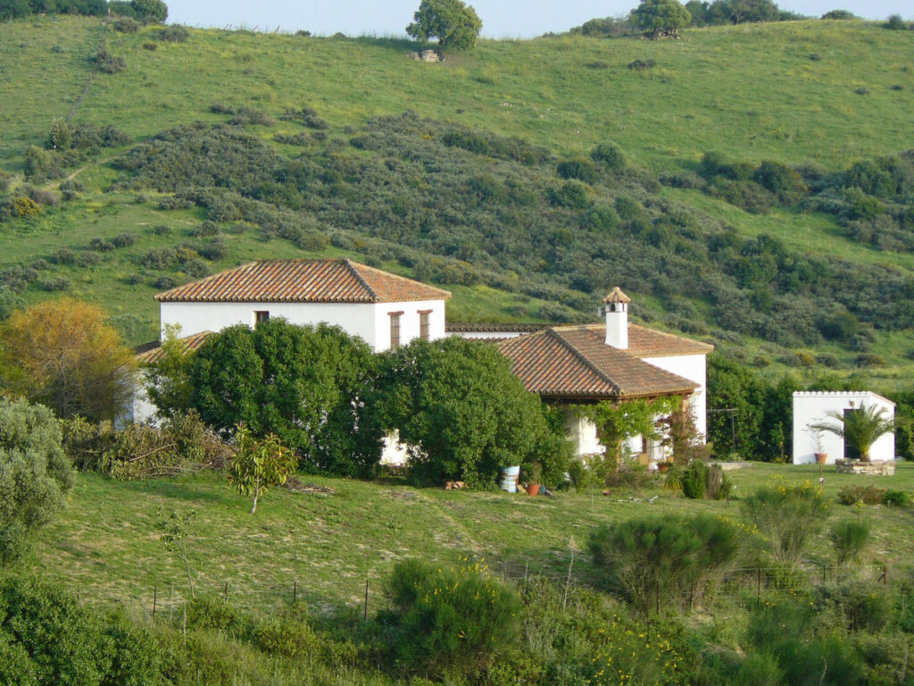 Detached Villa Jimena de la Frontera Cádiz - image 2