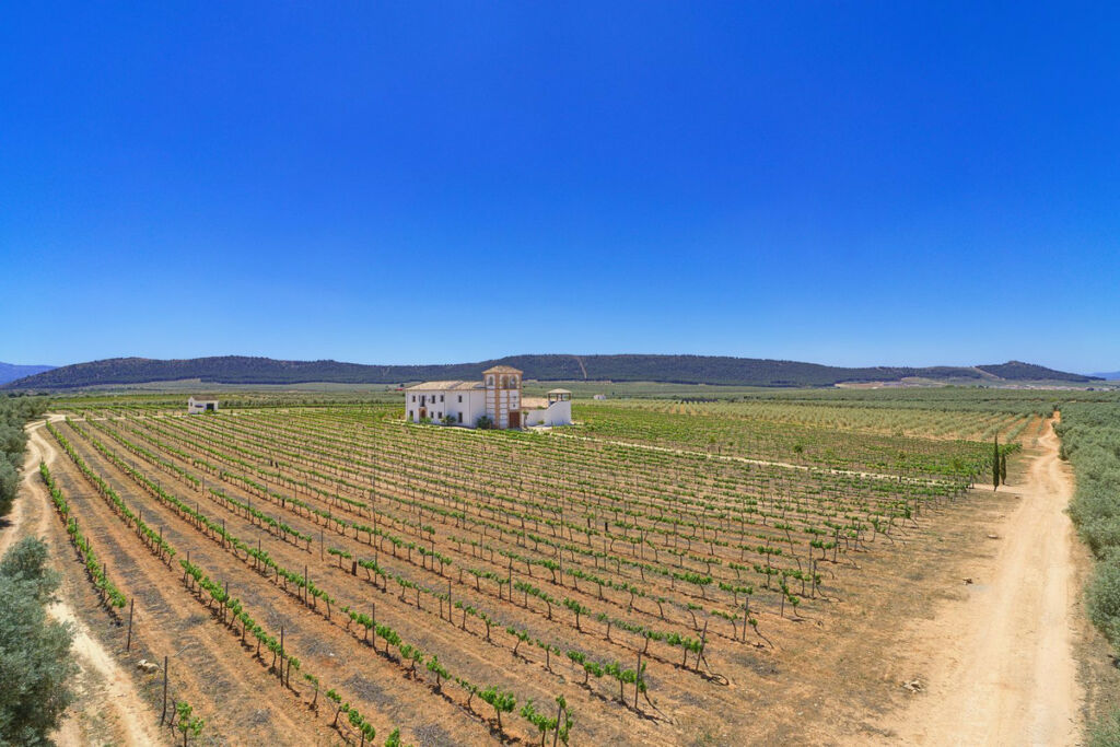 Finca - Cortijo Antequera Málaga - image 5