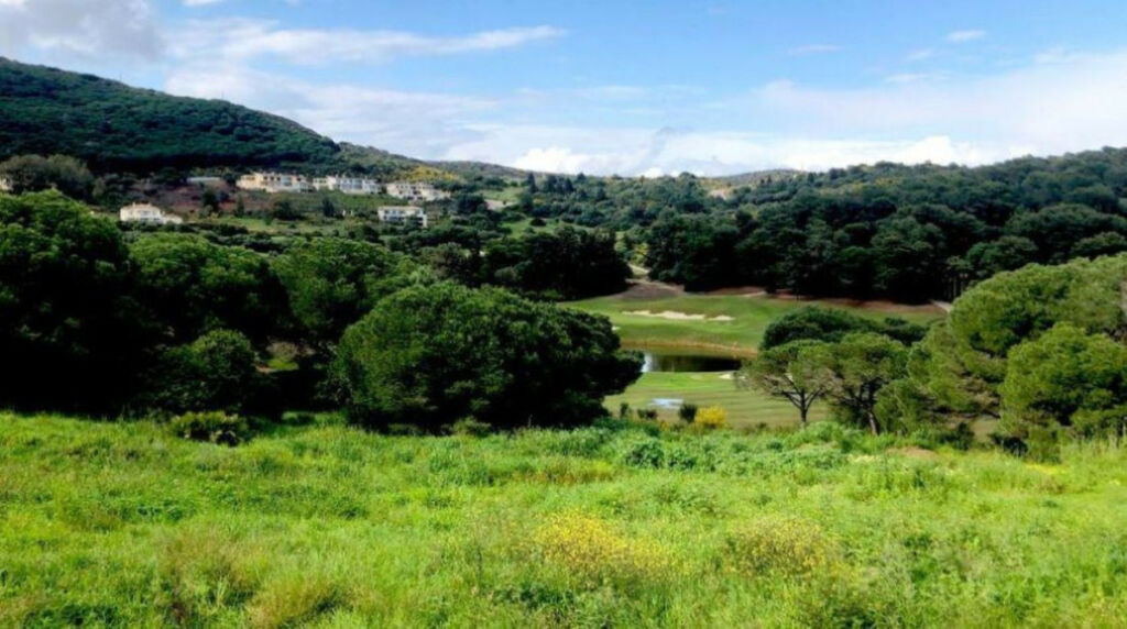 Residential Plot Sotogrande Cádiz - image 21