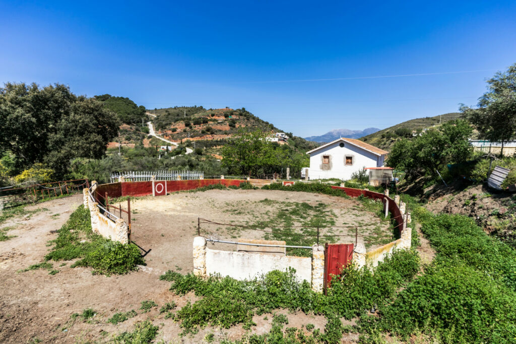 Finca - Cortijo Monda Málaga - image 23
