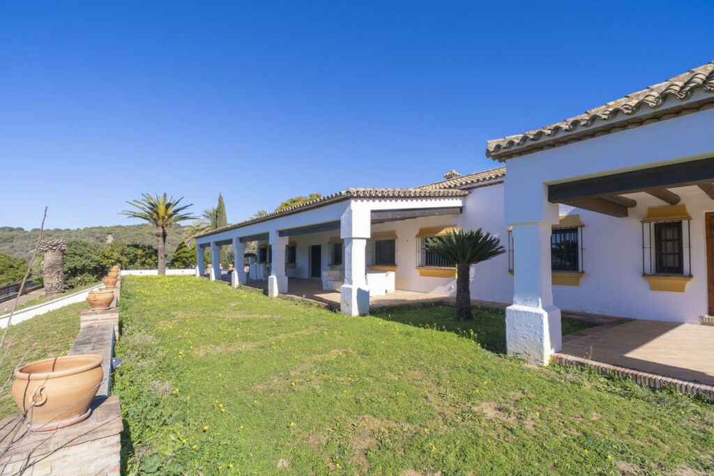 Finca - Cortijo Jimena de la Frontera Cádiz - image 22