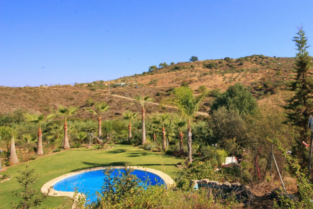 Finca - Cortijo Monda Málaga - image 22