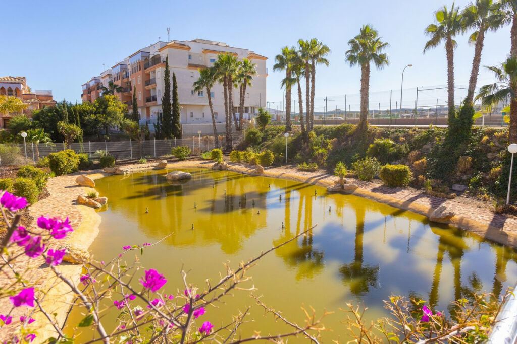 Ground Floor Apartment Orihuela Costa Alicante - image 23
