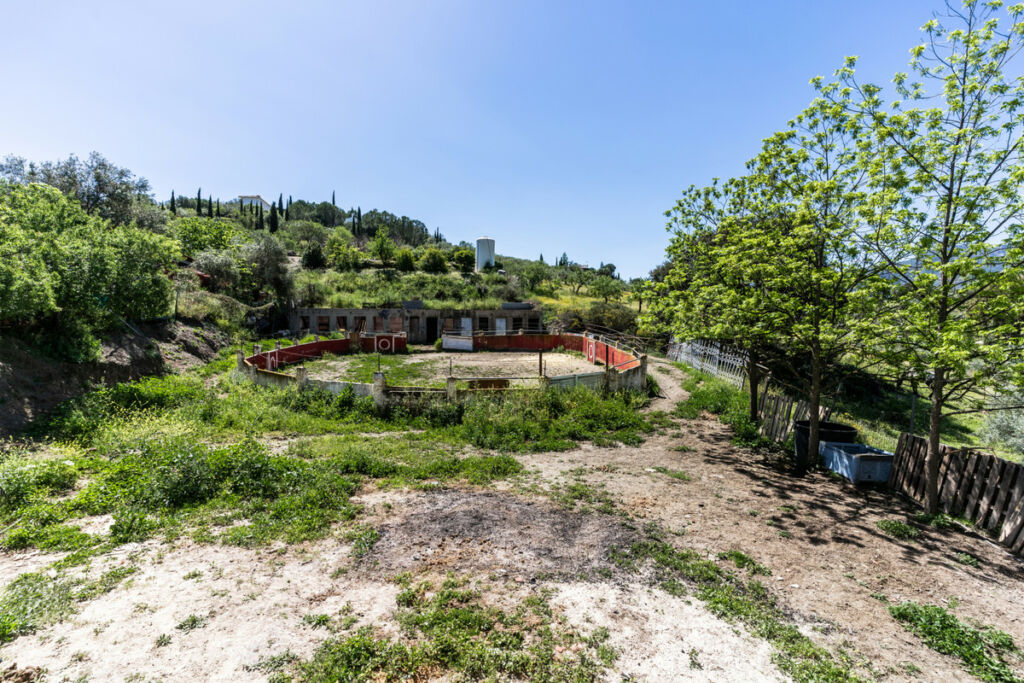 Finca - Cortijo Monda Málaga - image 22