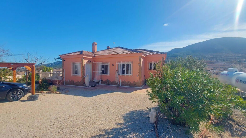 Detached Villa La Romana Alicante - image 24
