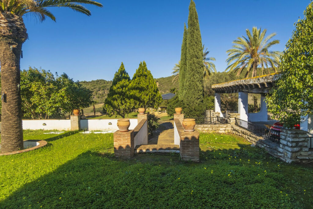 Finca - Cortijo Jimena de la Frontera Cádiz - image 25