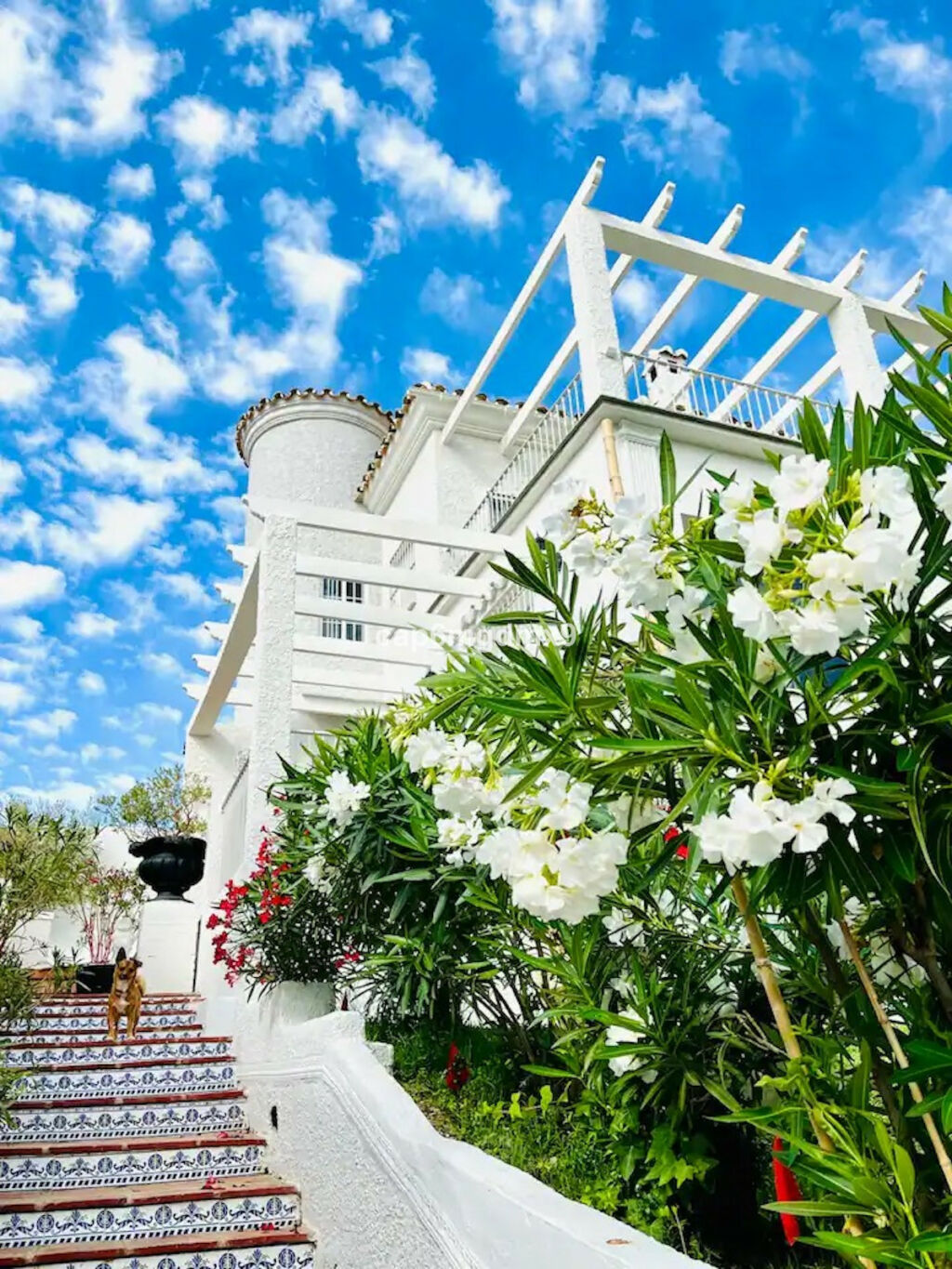 Detached Villa Benalmadena Málaga - image 26