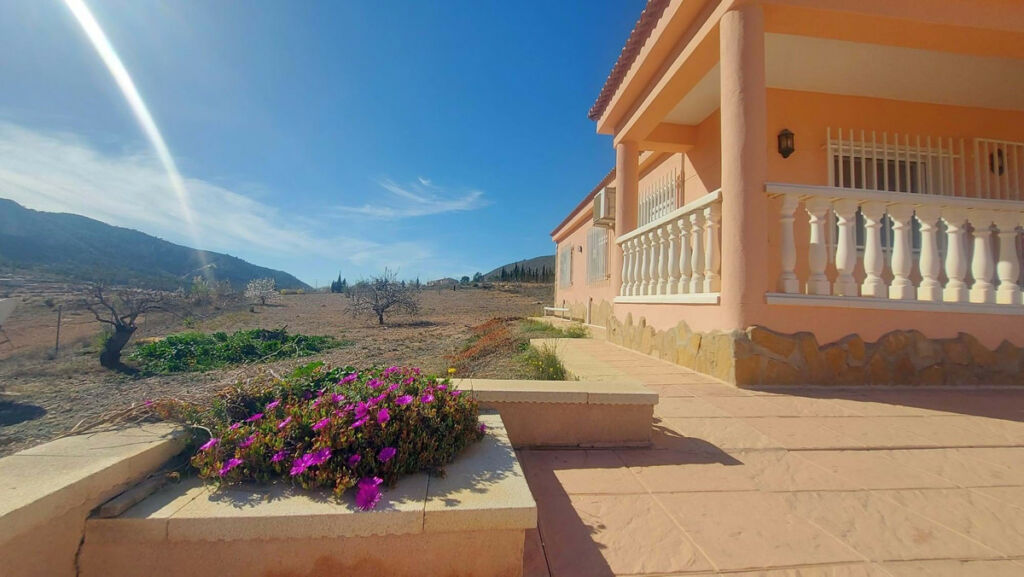 Detached Villa La Romana Alicante - image 26