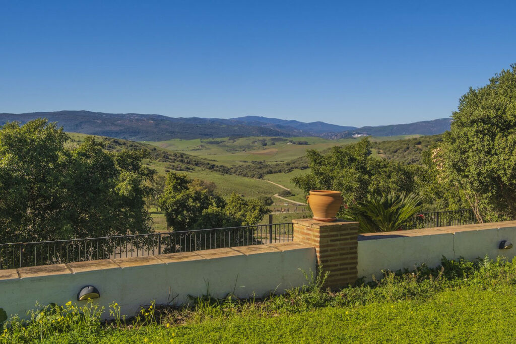 Finca - Cortijo Jimena de la Frontera Cádiz - image 26