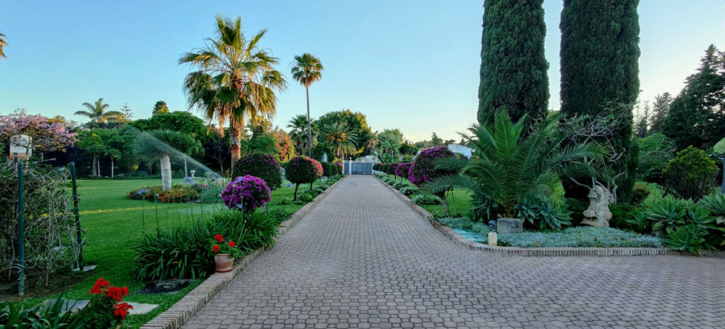 Detached Villa Guadalmina Baja Málaga - image 26