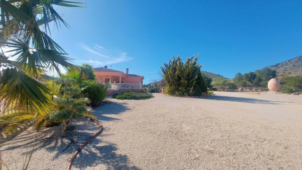 Detached Villa La Romana Alicante - image 27