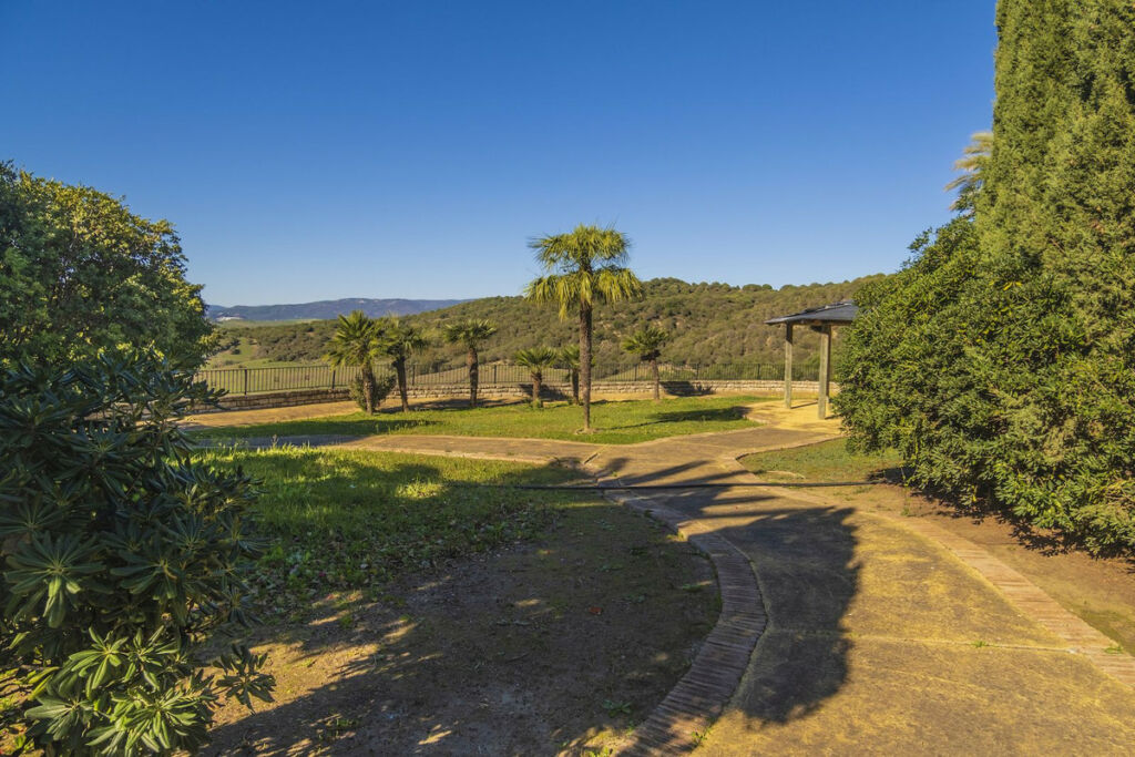 Finca - Cortijo Jimena de la Frontera Cádiz - image 27