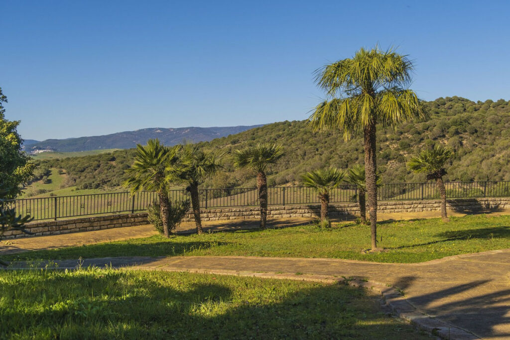 Finca - Cortijo Jimena de la Frontera Cádiz - image 28