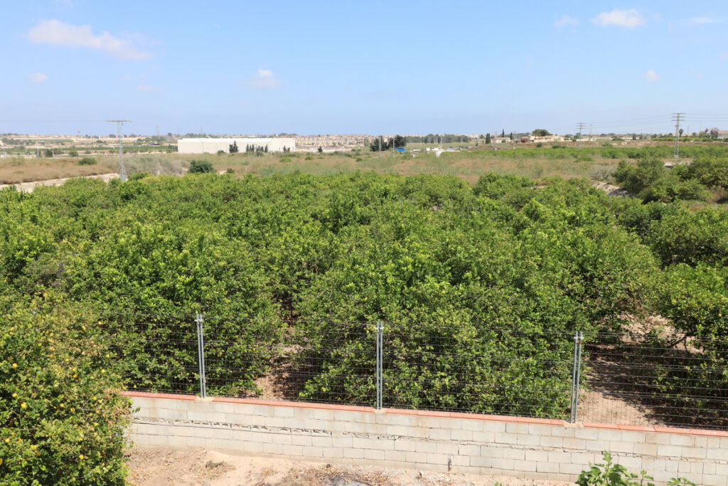 Detached Villa Algorfa Alicante - image 28