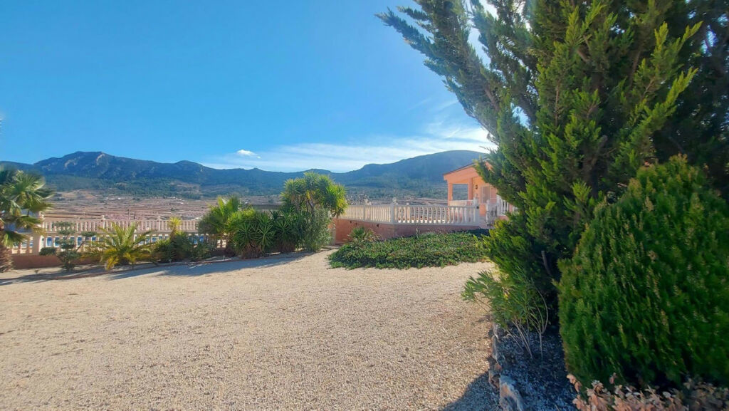 Detached Villa La Romana Alicante - image 28