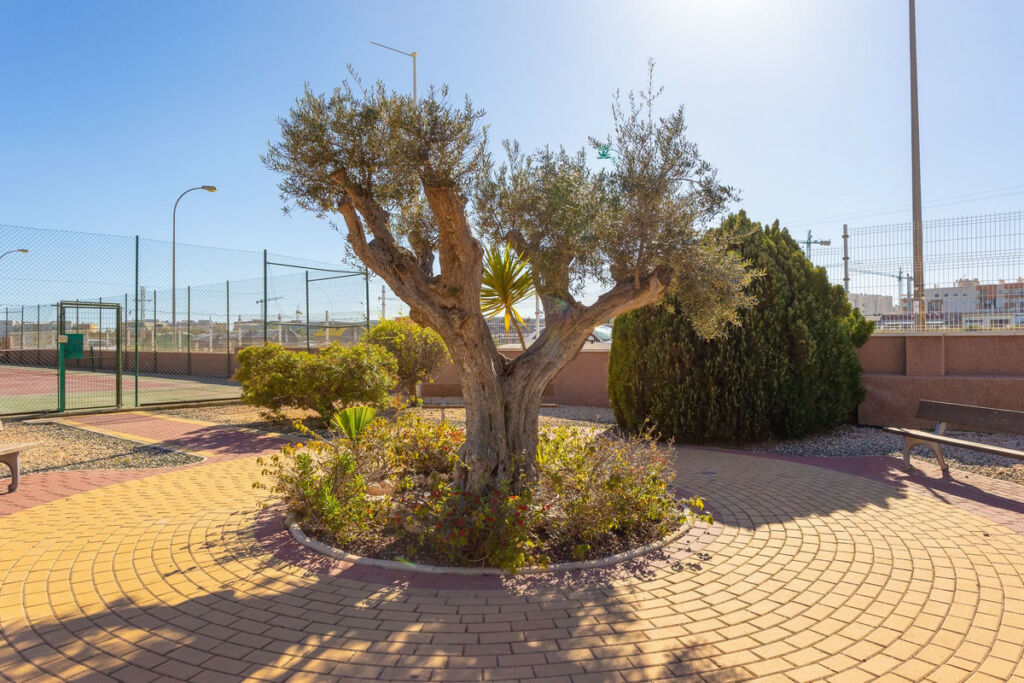 Ground Floor Apartment Orihuela Costa Alicante - image 28