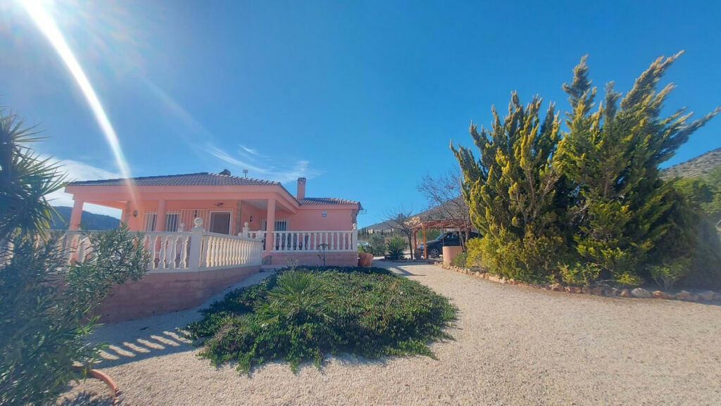 Detached Villa La Romana Alicante - image 29