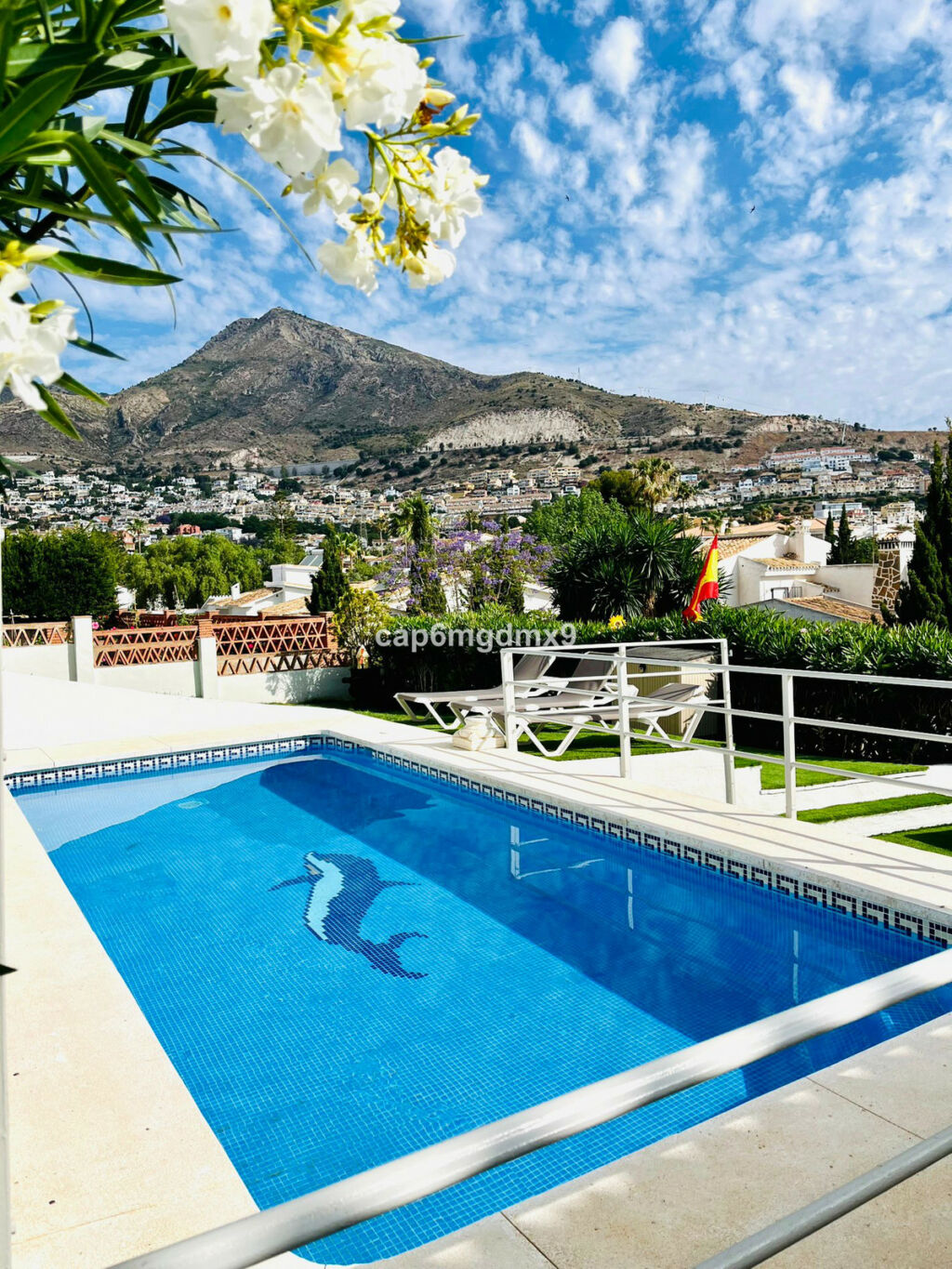 Detached Villa Benalmadena Málaga - image 3