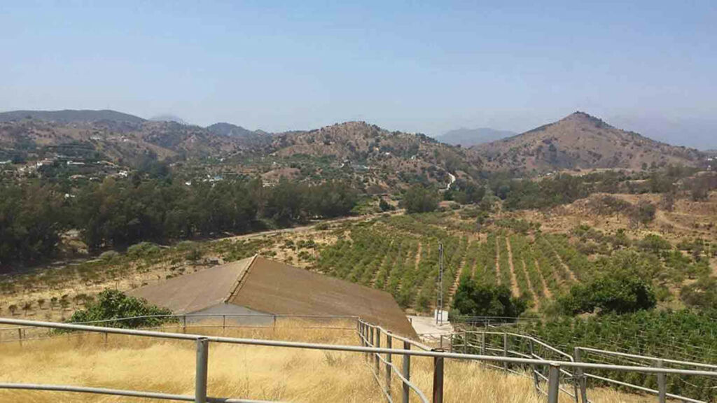 Finca - Cortijo Coín Málaga - image 4