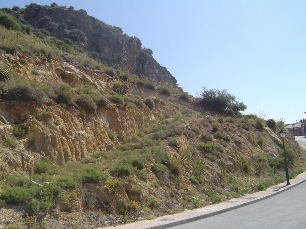Land Coín Málaga - image 3