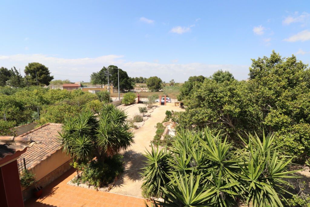 Detached Villa Algorfa Alicante - image 3