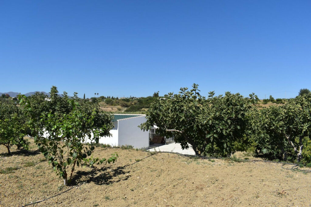 Finca - Cortijo Alhaurín el Grande Málaga - image 30