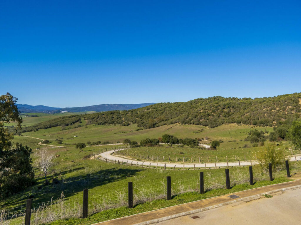 Finca - Cortijo Jimena de la Frontera Cádiz - image 31