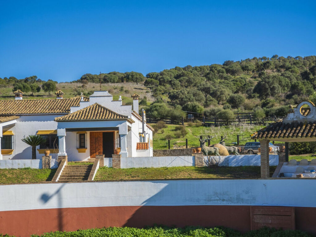 Finca - Cortijo Jimena de la Frontera Cádiz - image 32
