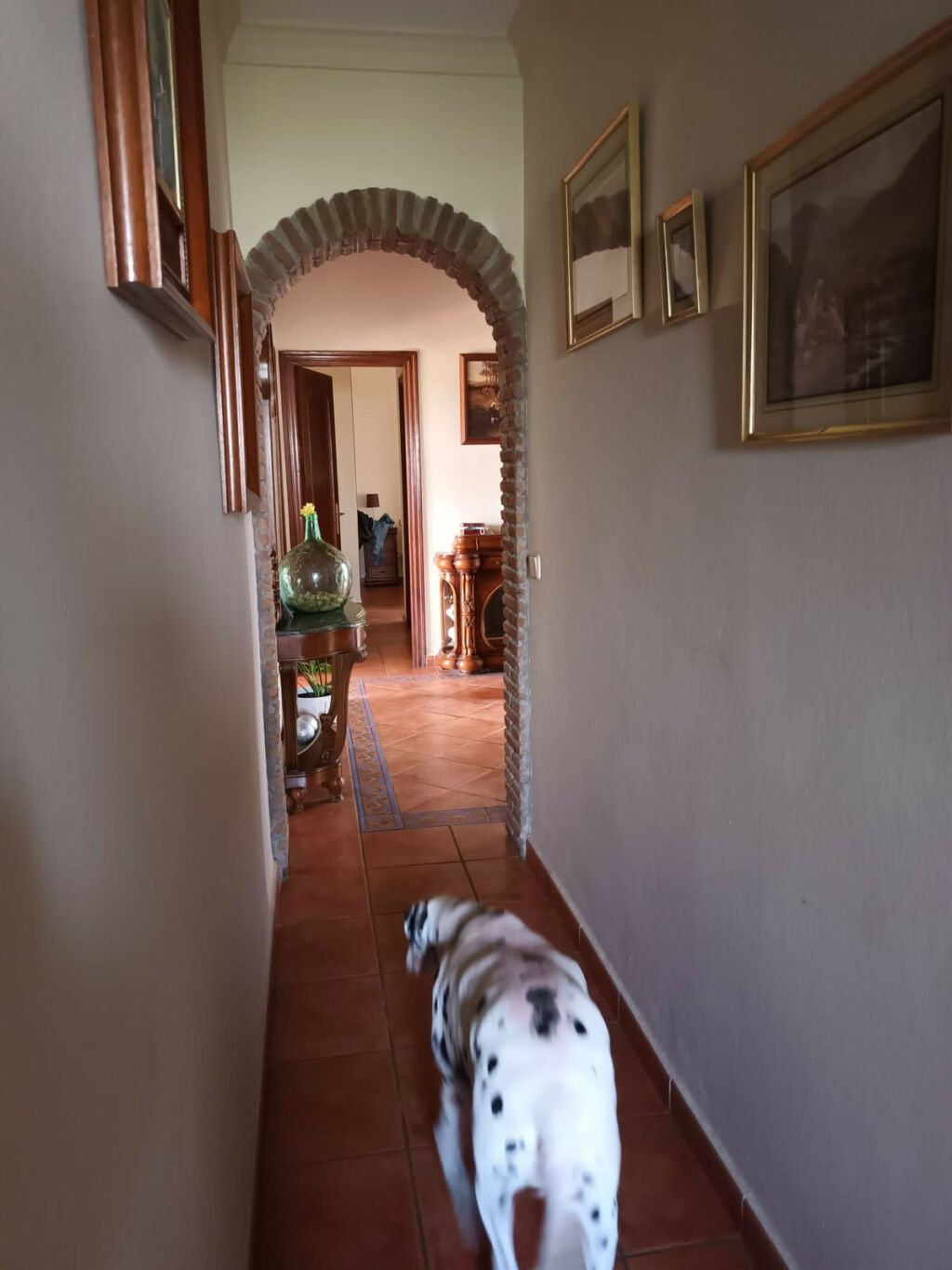 Detached Villa Cancelada Málaga - image 33