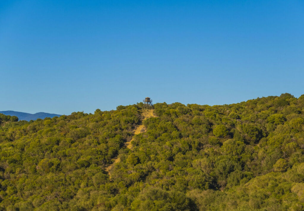 Finca - Cortijo Jimena de la Frontera Cádiz - image 35