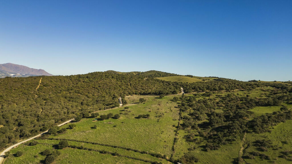 Finca - Cortijo Jimena de la Frontera Cádiz - image 36