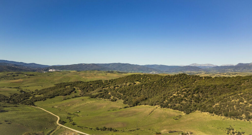 Finca - Cortijo Jimena de la Frontera Cádiz - image 38