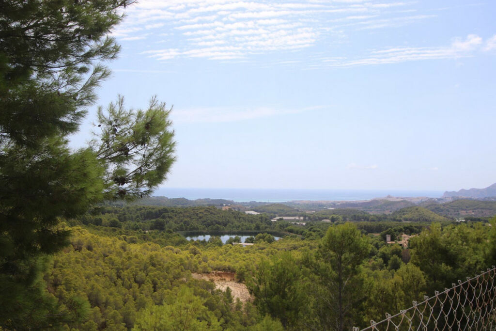 Detached Villa Altea Alicante - image 39