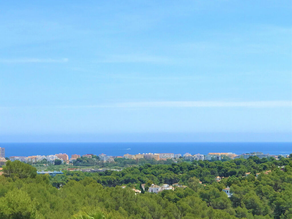 Detached Villa Javea Alicante - image 4