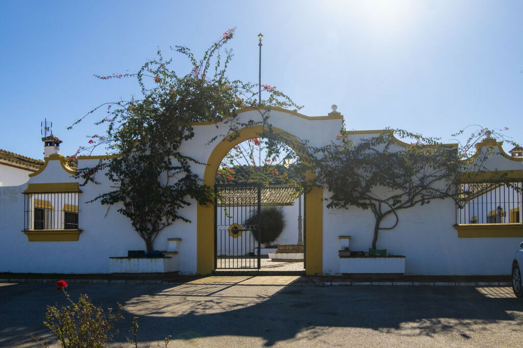 Finca - Cortijo Jimena de la Frontera Cádiz - image 4