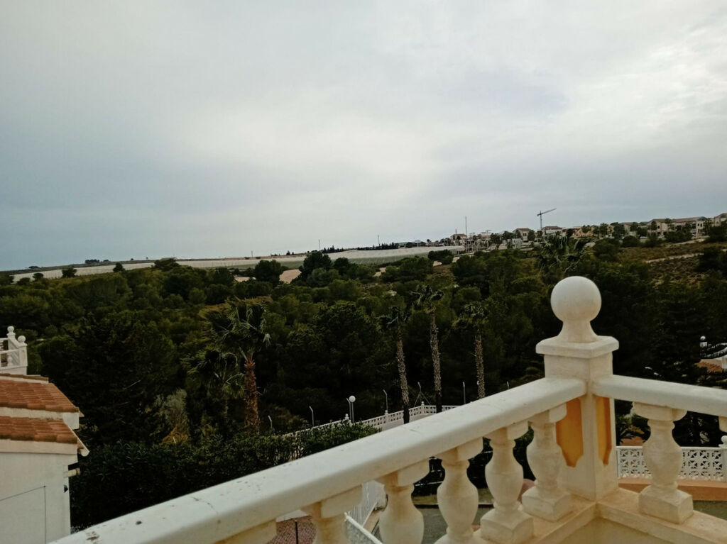 Detached Villa Algorfa Alicante - image 4