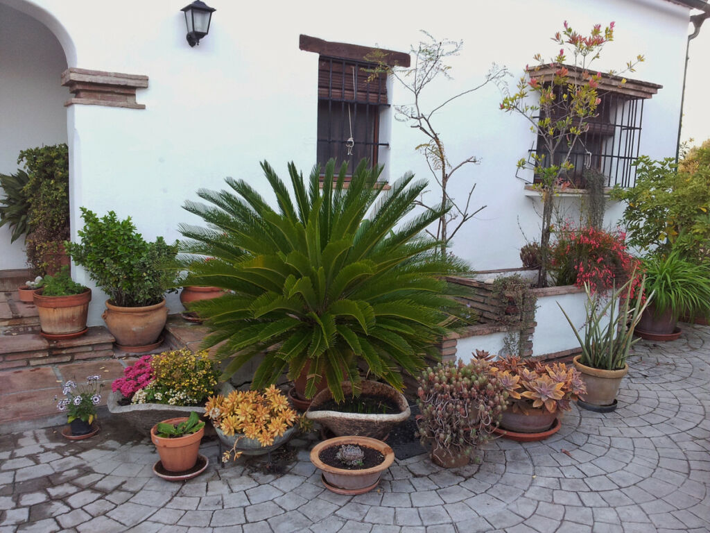 Detached Villa Jimena de la Frontera Cádiz - image 4