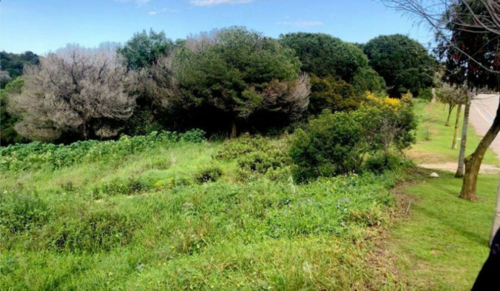 Residential Plot Sotogrande Cádiz - image 4